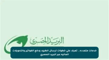 خدمات متعددة.. تعرف على خطوات إرسال الطرود ودفع الفواتير والتحويلات المالية عبر البريد المصري